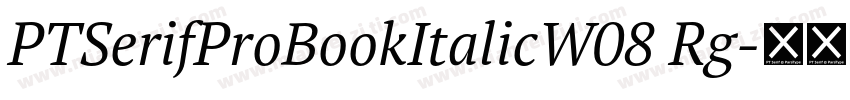 PTSerifProBookItalicW08 Rg字体转换